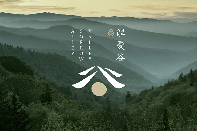 茶葉品牌設(shè)計(jì)-VI設(shè)計(jì)-LOGO設(shè)計(jì)-解憂谷