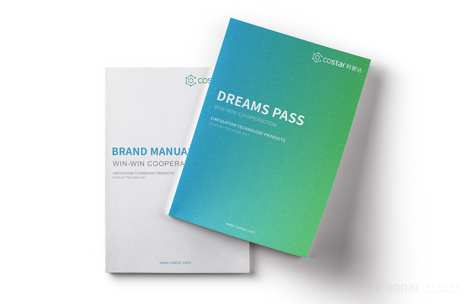 VI設(shè)計(jì)-樣本設(shè)計(jì) VI設(shè)計(jì)-樣本設(shè)計(jì)