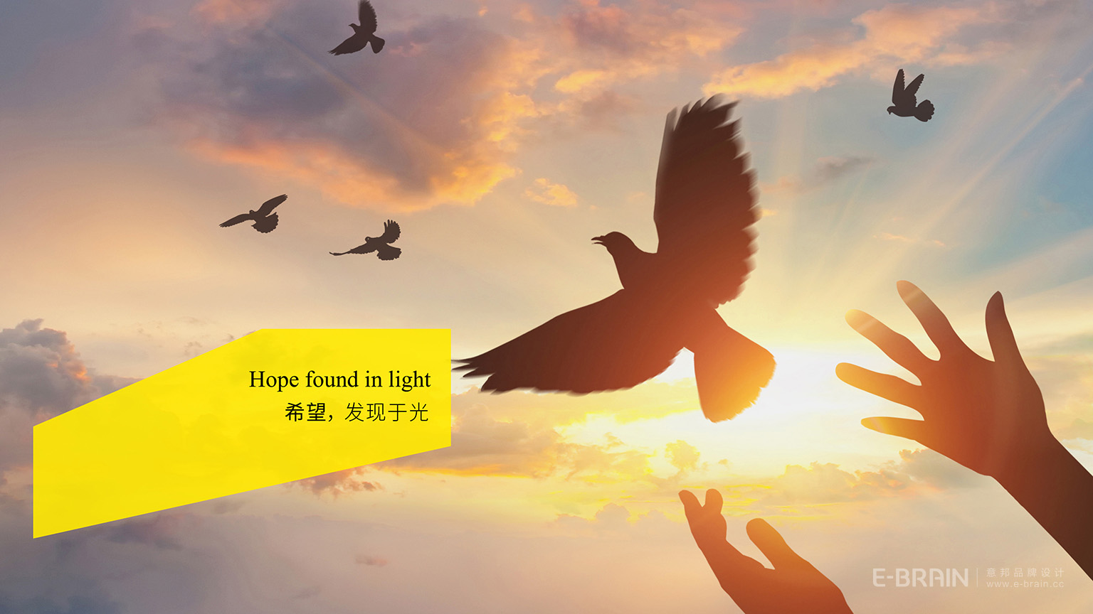 教育行業(yè)VI設(shè)計