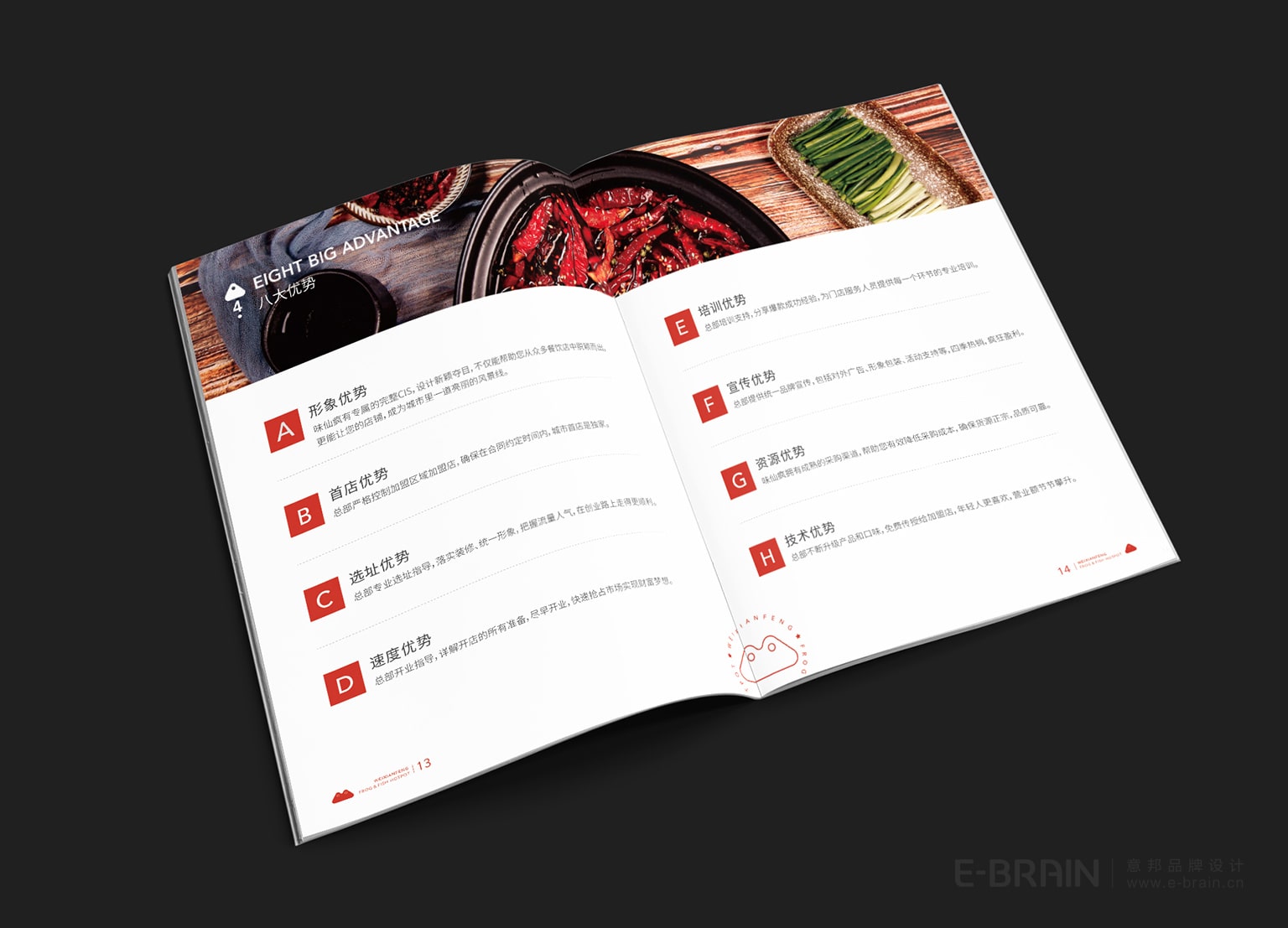 宣傳畫(huà)冊(cè)設(shè)計(jì)