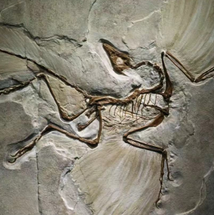 品牌logo-創(chuàng)意靈感 品牌logo-創(chuàng)意靈感