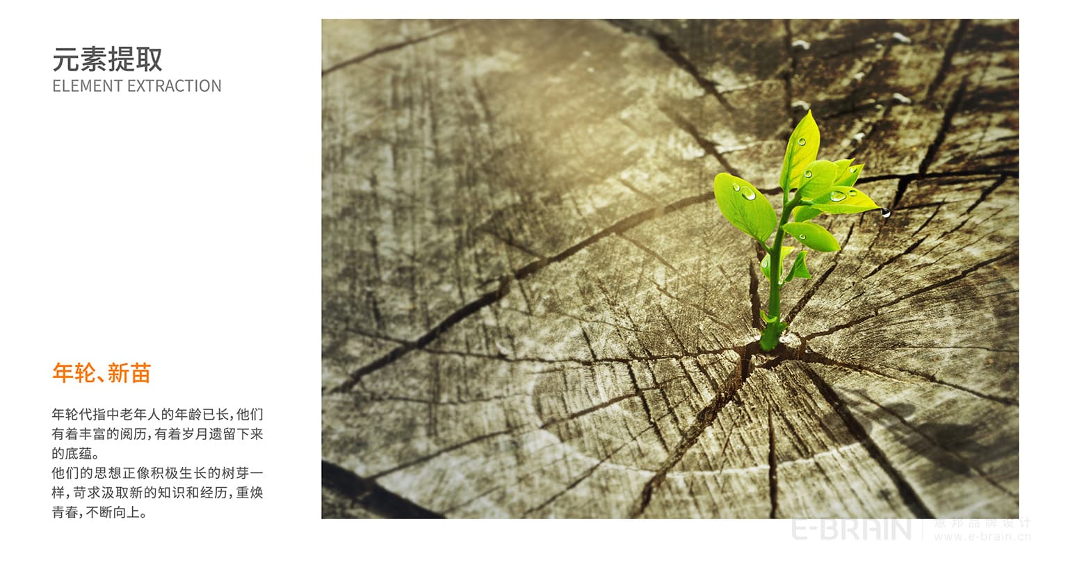 老年服務(wù)品牌設(shè)計